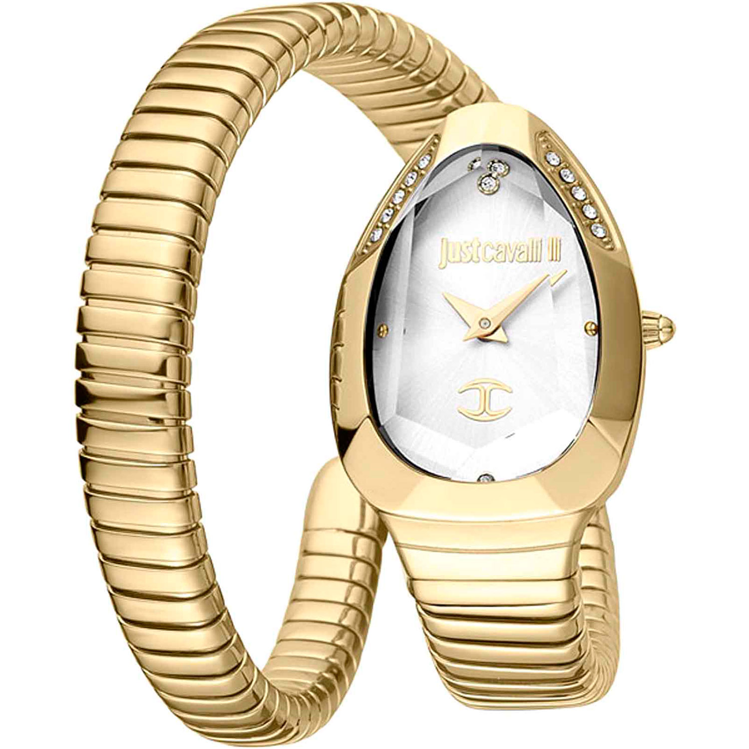 Часы Just Cavalli Snake JC1L208M0035